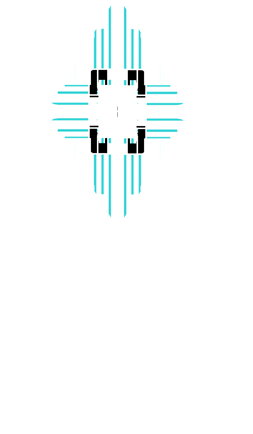 XIX