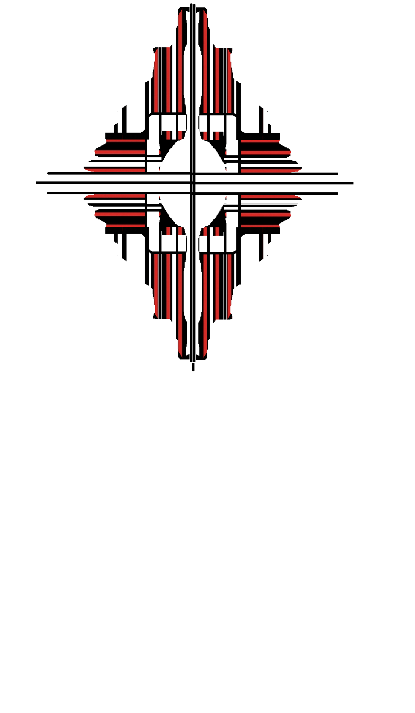 XXIX