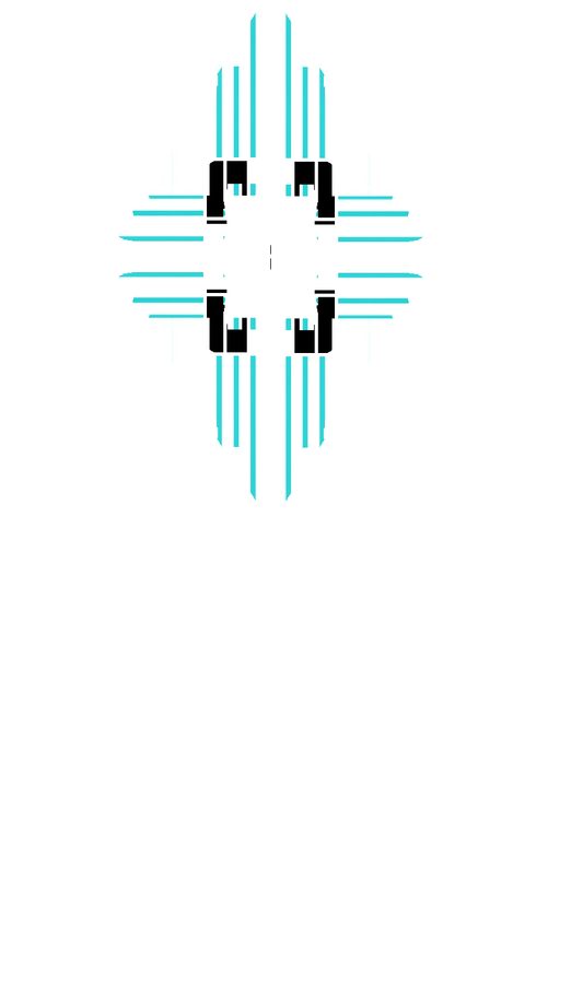 XIX