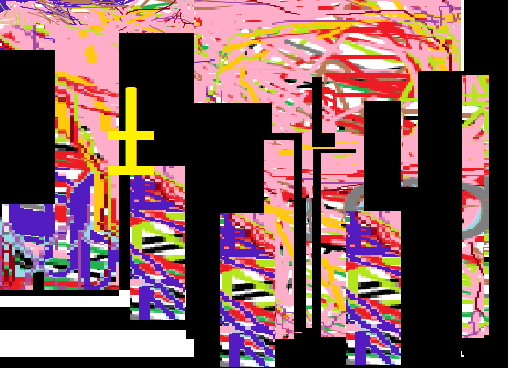 XXVI